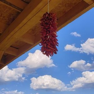 Meet your Posher, Lea